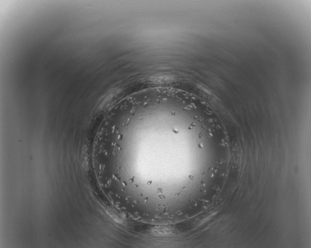 X0000067510762200604150133