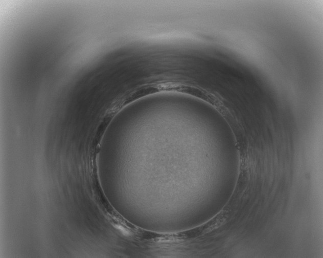 X0000067510763200604150133