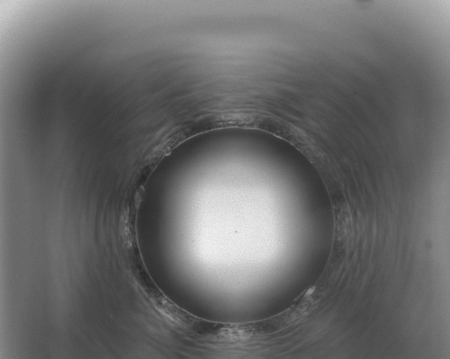 X0000067510764200604150133