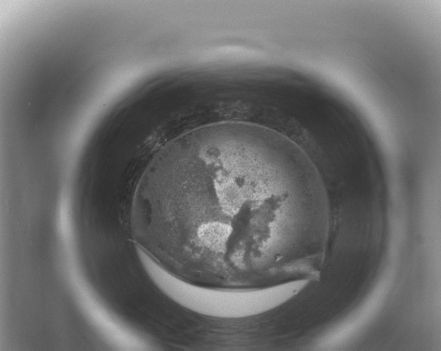 X0000067510765200604150133