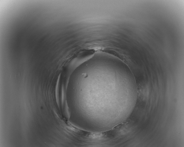 X0000067510767200604150133