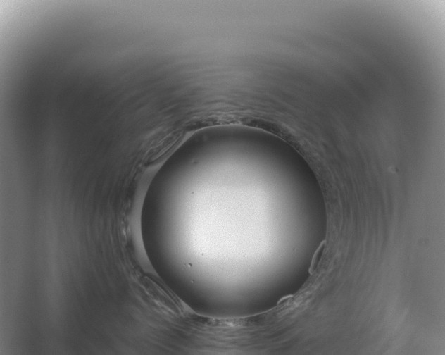 X0000067510768200604150133