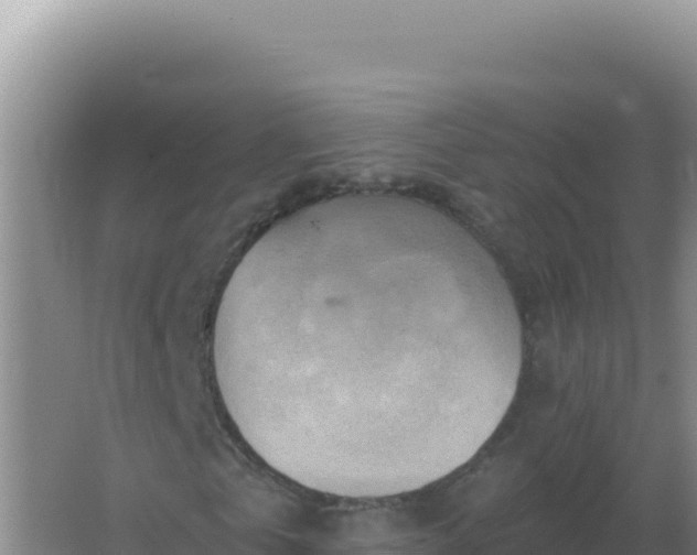 X0000067510769200604150132