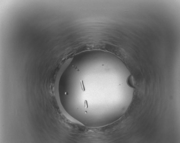 X0000067510770200604150132