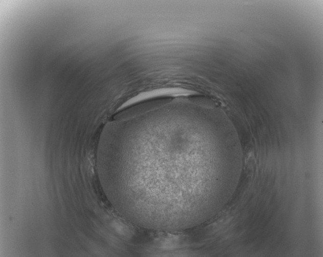 X0000067510772200604150132