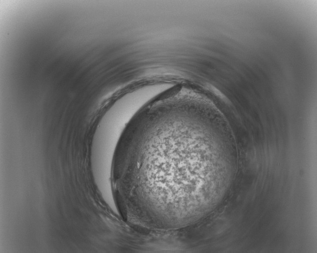 X0000067510775200604150132