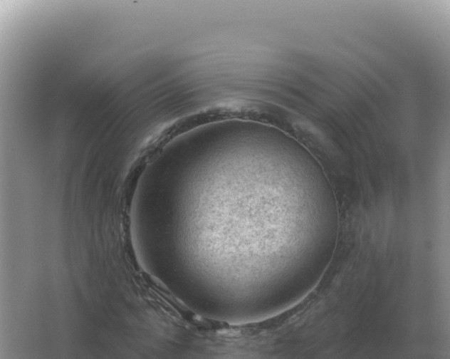 X0000067510776200604150132