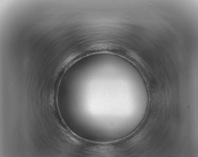 X0000067510778200604150132