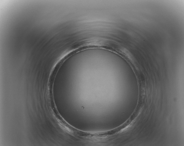 X0000067510779200604150132