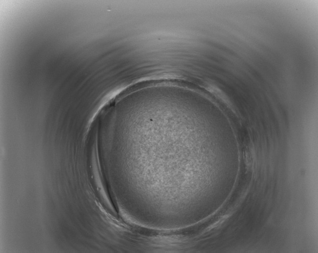 X0000067510781200604150132