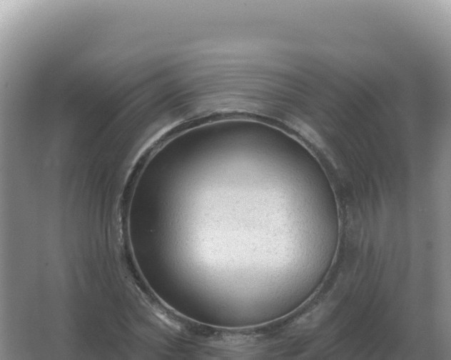 X0000067510782200604150132