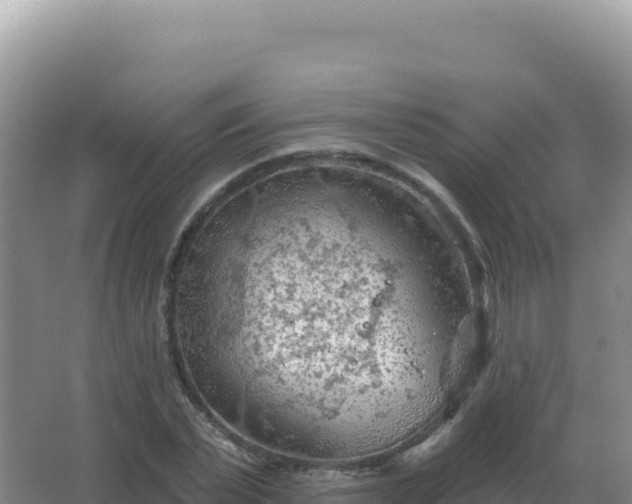 X0000067510783200604150132