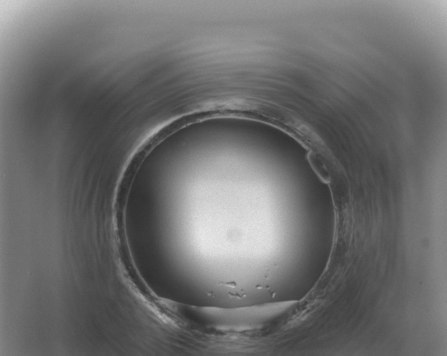 X0000067510784200604150132