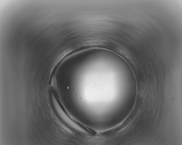 X0000067510786200604150132