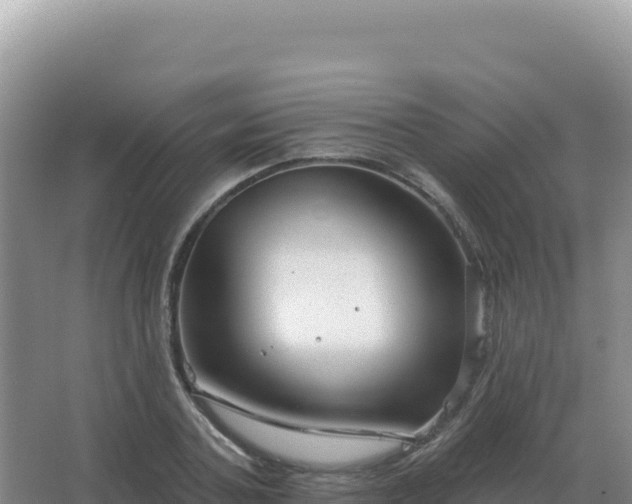 X0000067510787200604150132