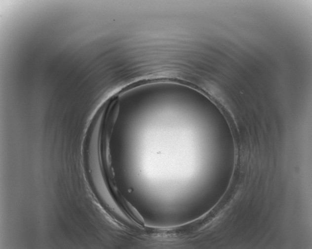 X0000067510789200604150132