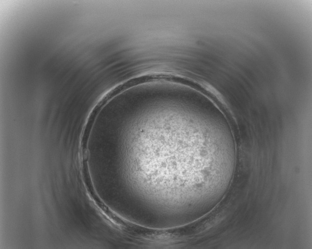 X0000067510791200604150132