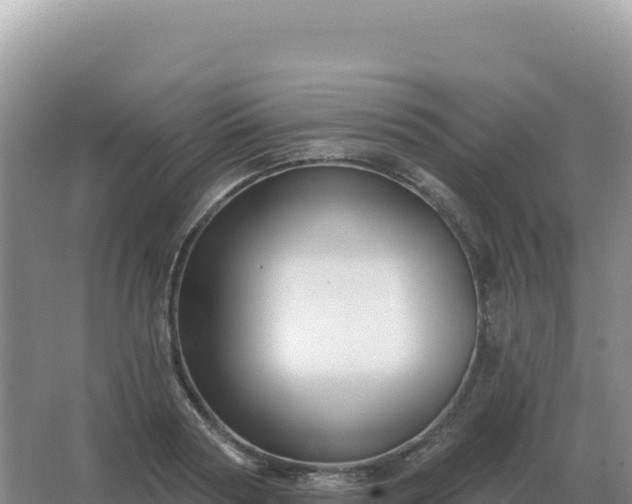 X0000067510794200604150132