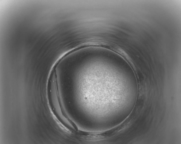 X0000067510795200604150132