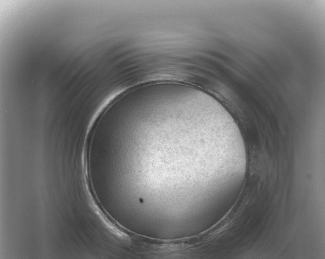 X0000067510796200604150132