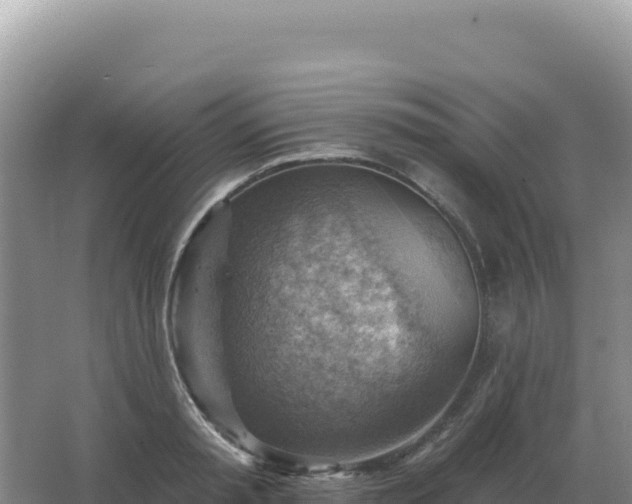 X0000067510797200604150132