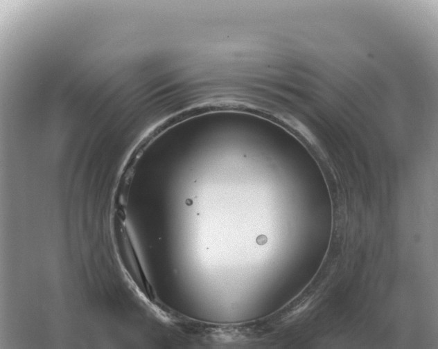 X0000067510799200604150132