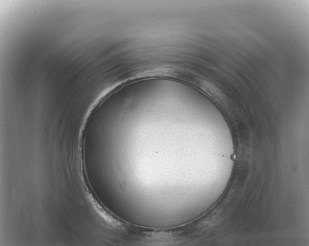 X0000067510800200604150132