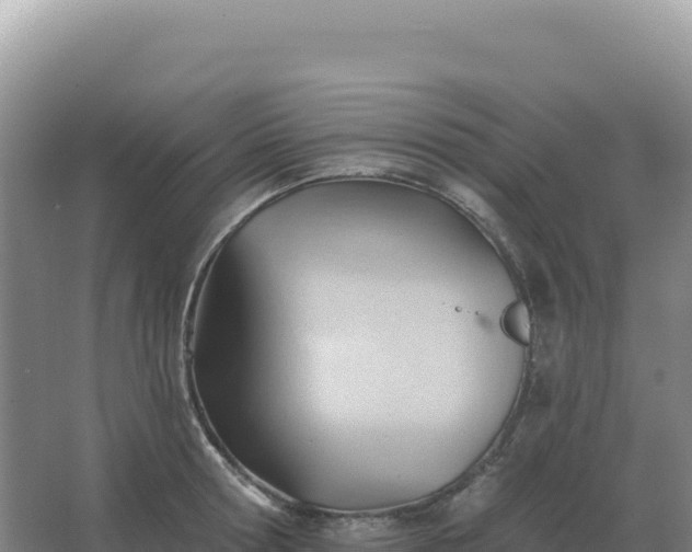 X0000067510802200604150132