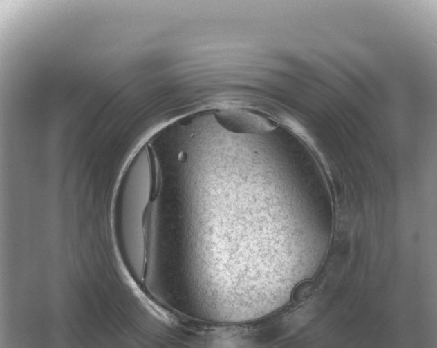 X0000067510803200604150132