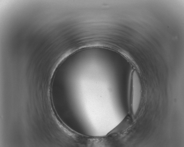 X0000067510805200604150132