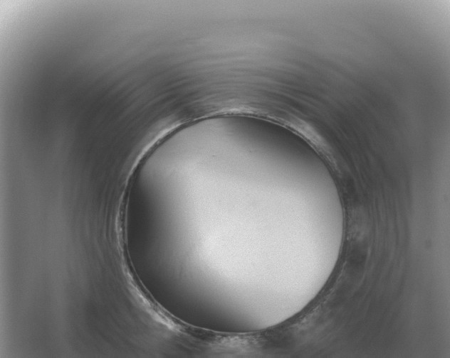 X0000067510806200604150132