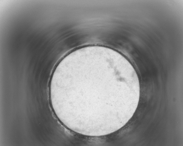 X0000067510807200604150132