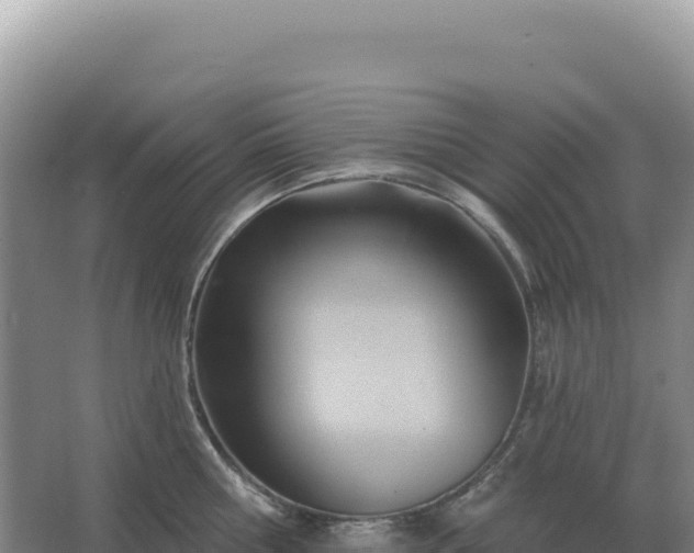 X0000067510810200604150132