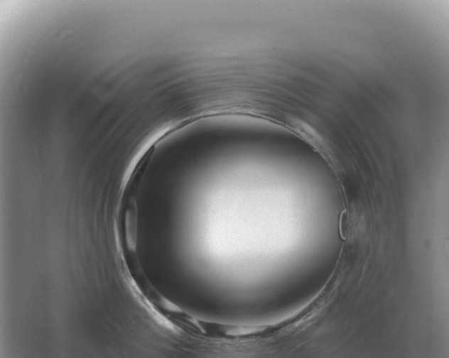 X0000067510812200604150132