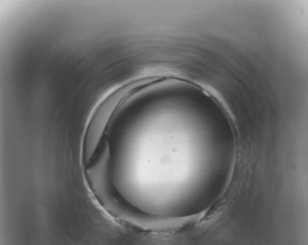 X0000067510815200604150132