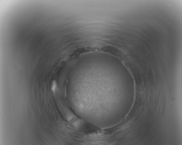 X0000067510818200604150131