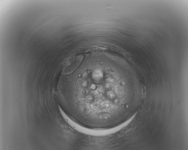 X0000067510819200604150131