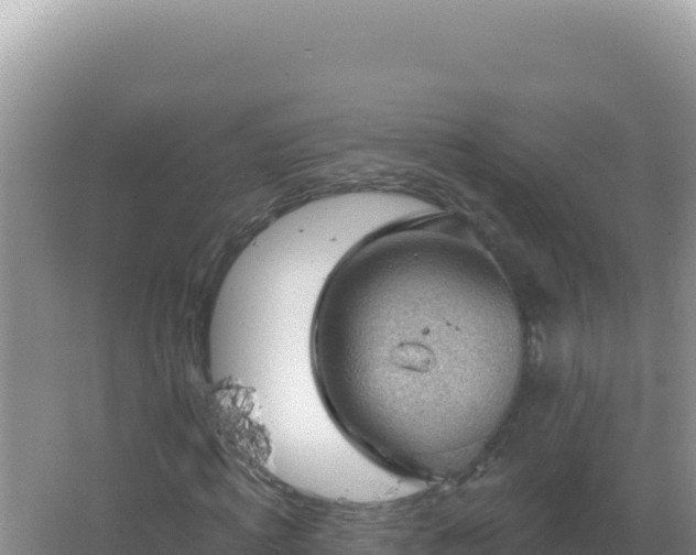 X0000067510820200604150131