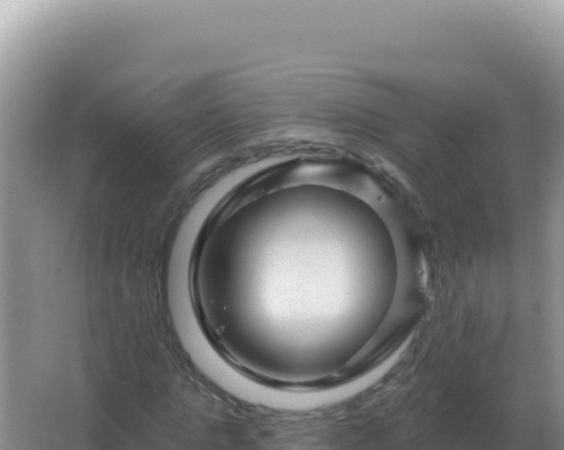 X0000067510821200604150131