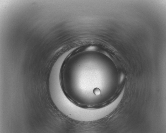 X0000067510822200604150131