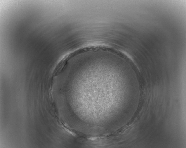 X0000067510823200604150131