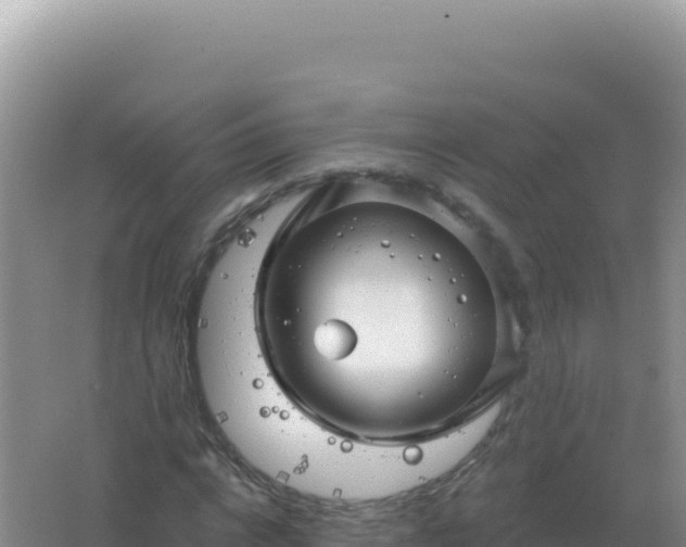 X0000067510824200604150131