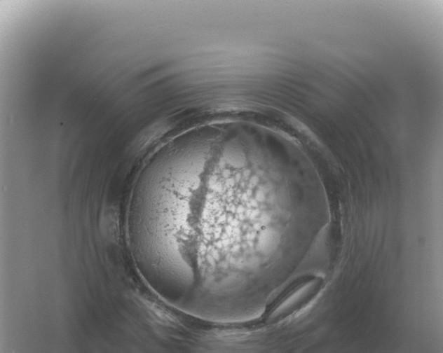 X0000067510825200604150131