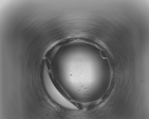 X0000067510826200604150131