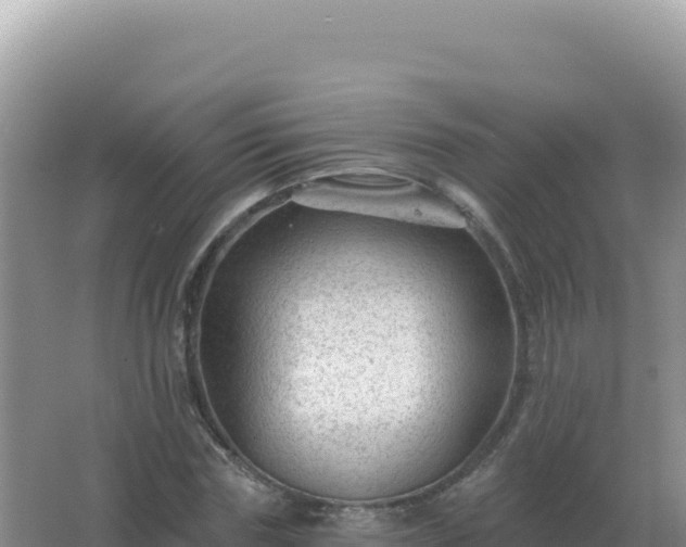 X0000067510827200604150131