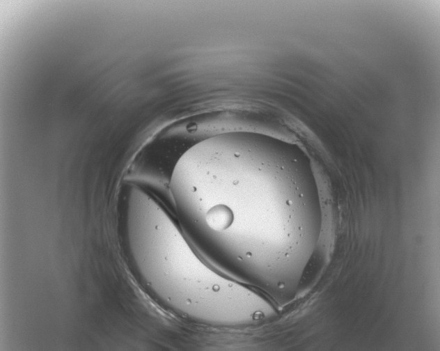 X0000067510828200604150131