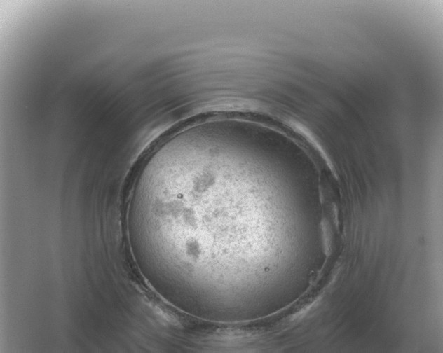 X0000067510829200604150131