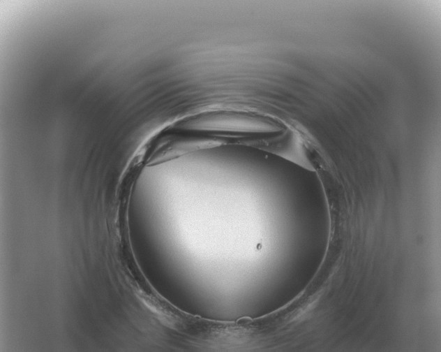 X0000067510830200604150131