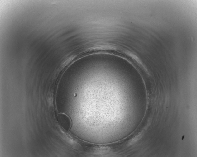 X0000067510833200604150131