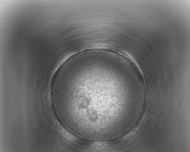 X0000067510835200604150131